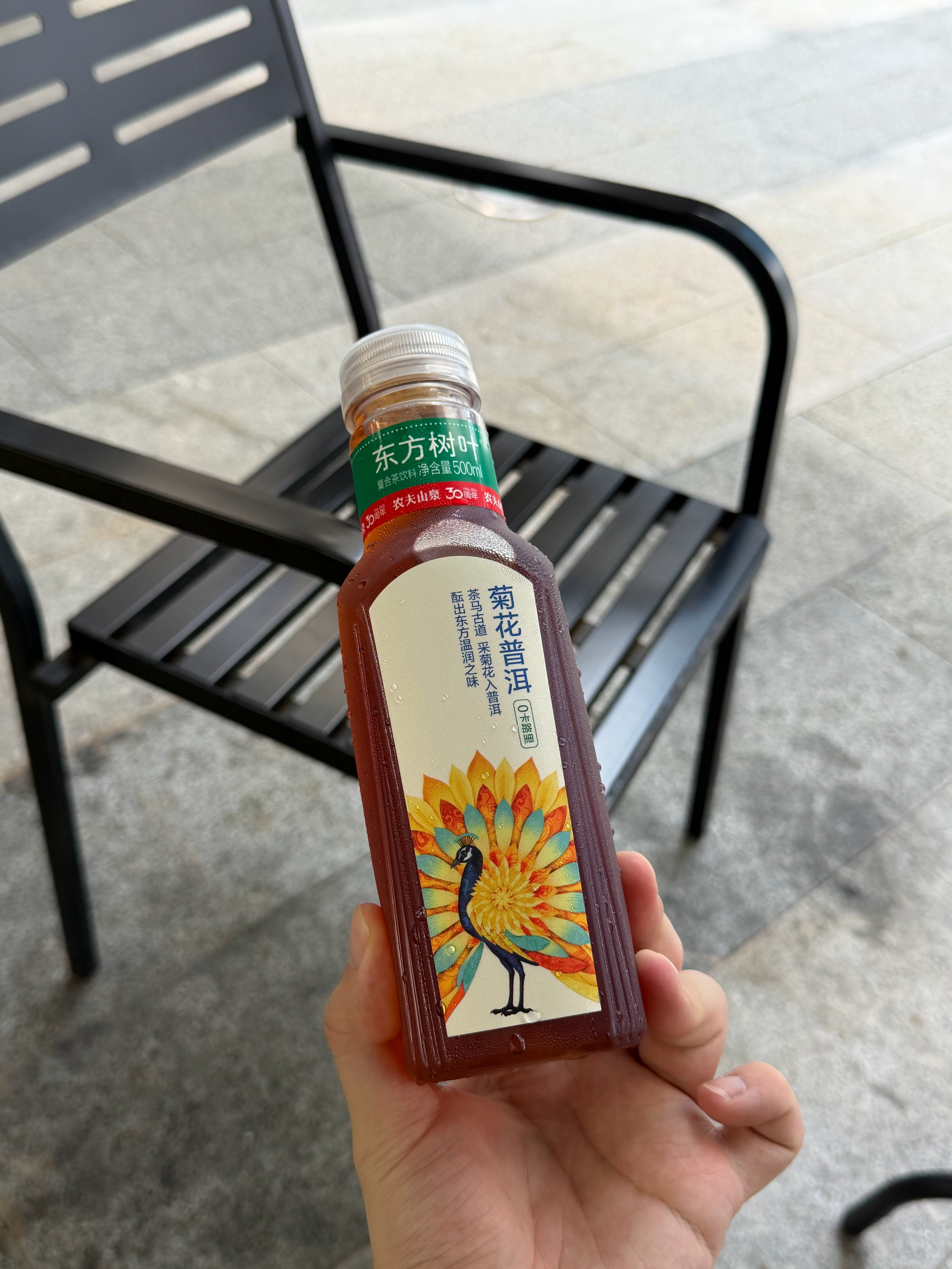 没有喝过的船新口味东方树叶