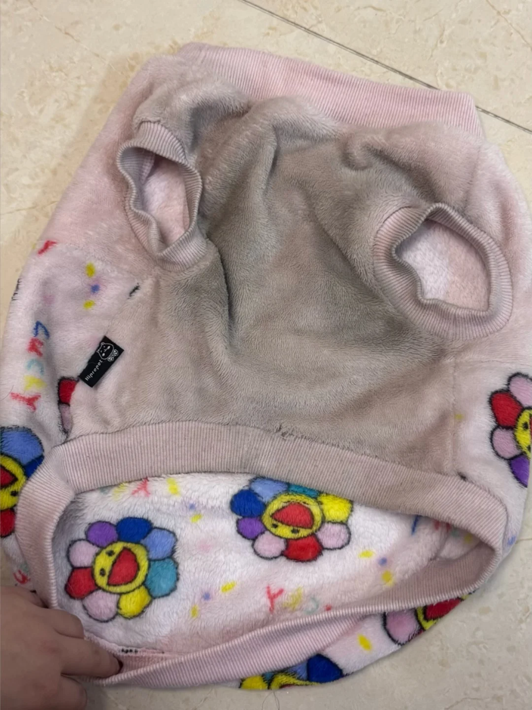 推荐喜欢洗衣服的人都去养柯基🐶