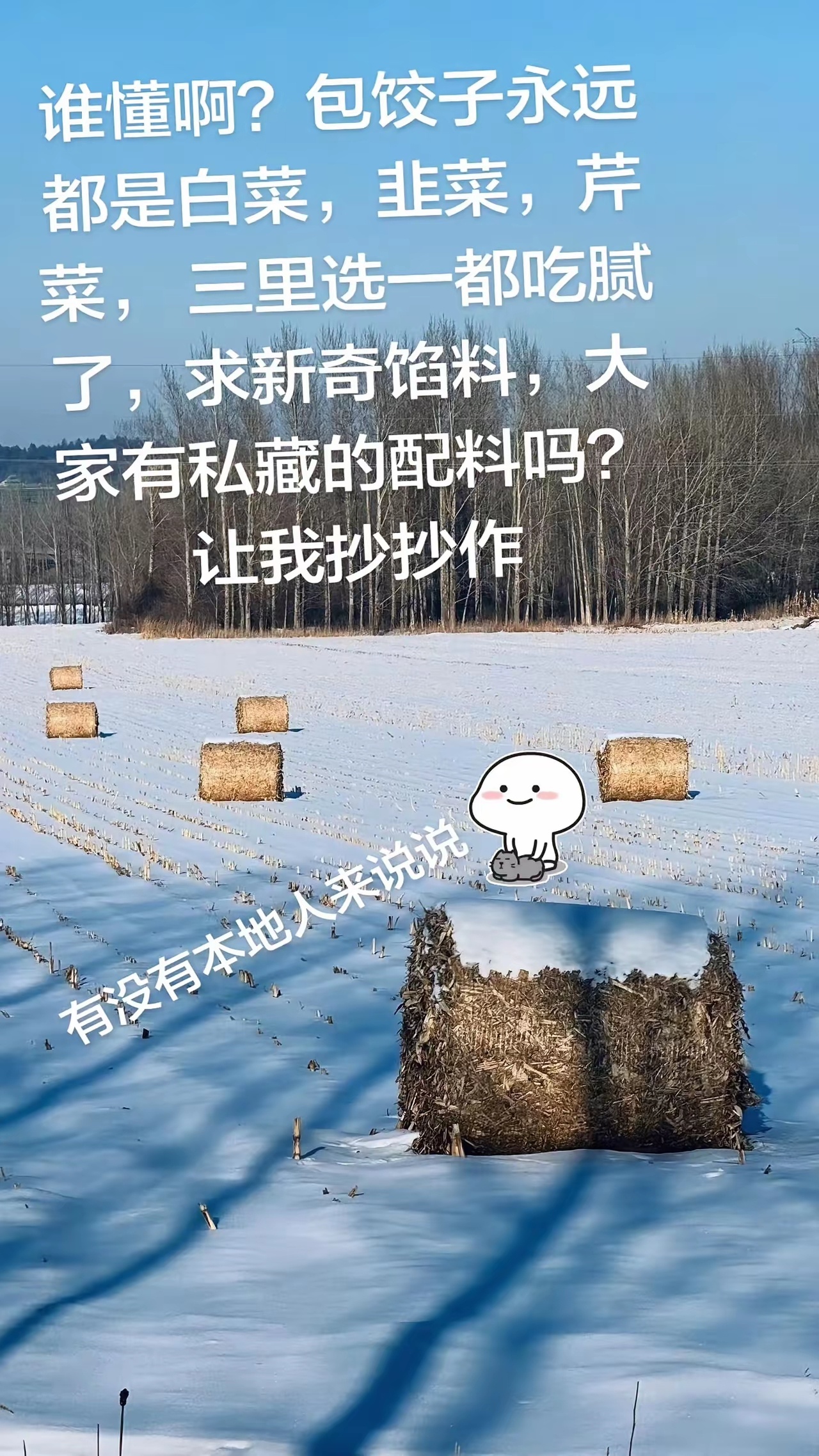 包饺子永远都是白菜，韭菜，芹菜， 三里选一都吃腻了，有新招吗 