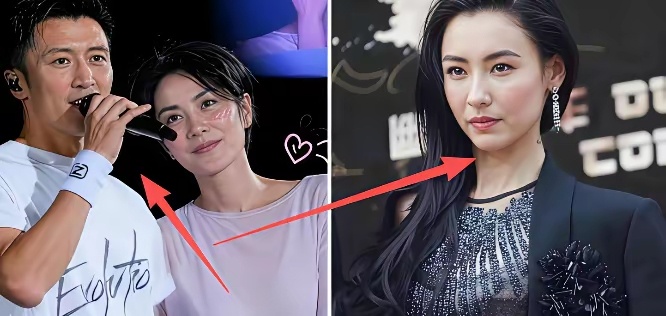我估计谢霆锋和张柏芝永远不会复合了， 不是因为他们已经没感情了，也不是因为张柏芝