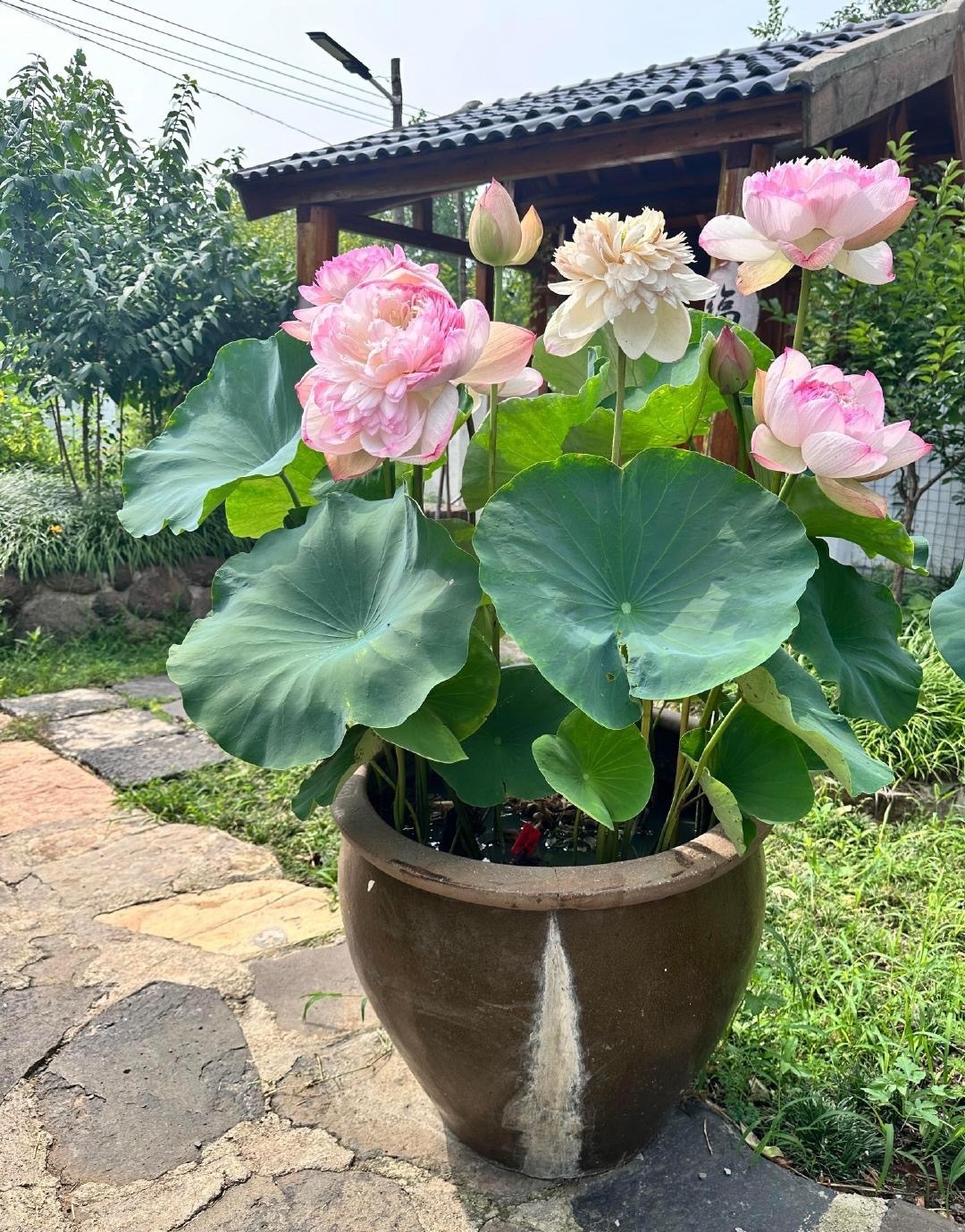 短期内持仓不要动，油和气，纳指五层都拿着。目前没啥问题，静待花开。 ​​​