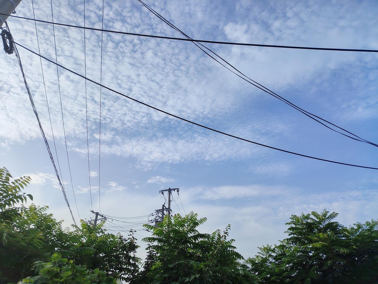 晒图笔记大赛过往的遗憾，就让它随夏夜的晚风飘散；当下的美好，正以蝉鸣为序，悄然铺