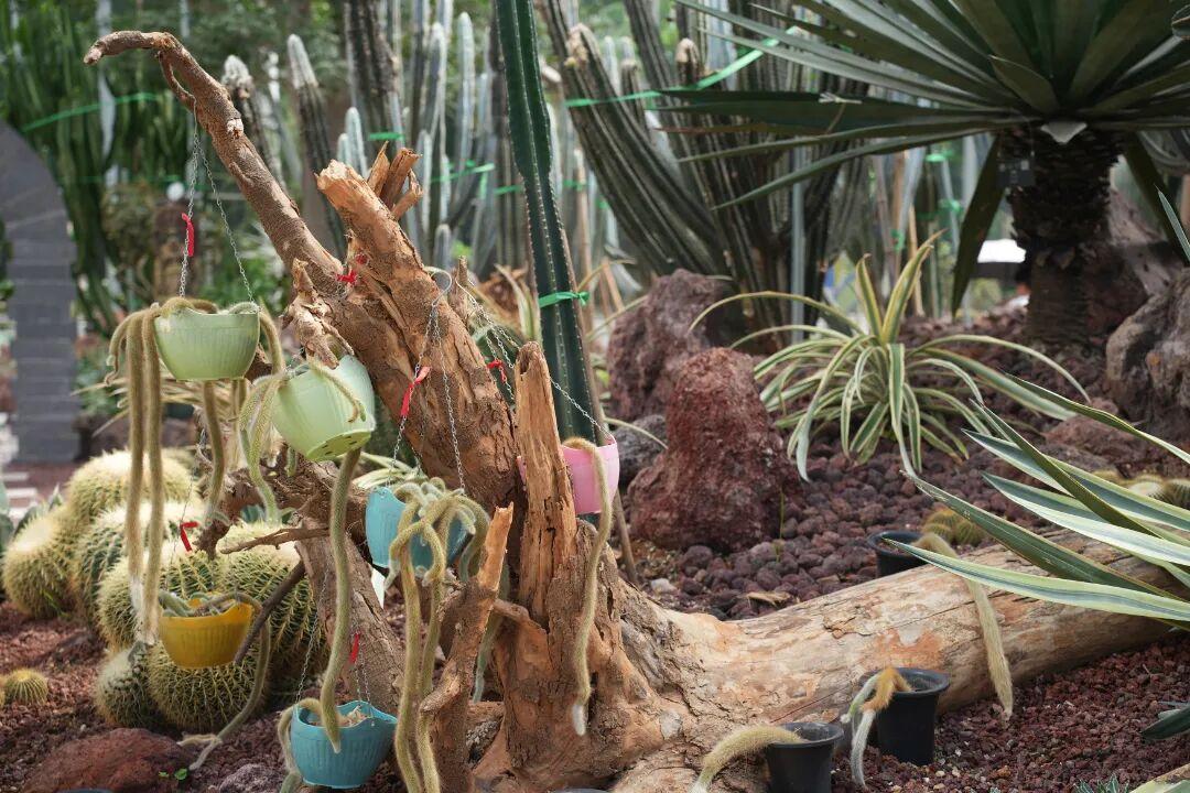 这些不稳定因素有很多种，单位效益不好倒闭了。
私人老板撑不住了，大量减员倒置中年