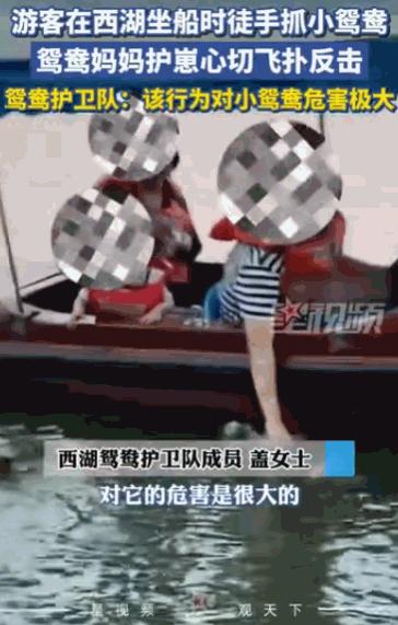 “这种人就应该拉黑！”浙江，一名游客在船上，光天化日之下，竟然伸手把一只还没长全