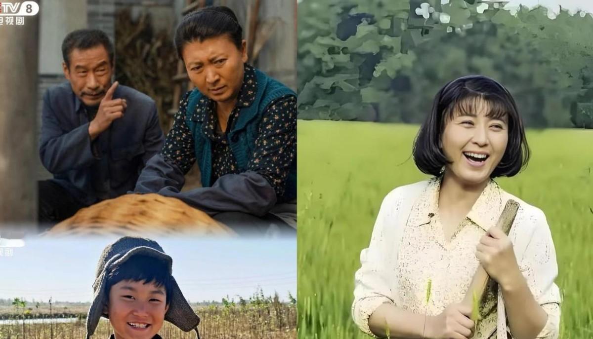 央视八套《故乡的泥土》半年前就定好了档期，这排播计划能临时改吗？
我告诉你，这根