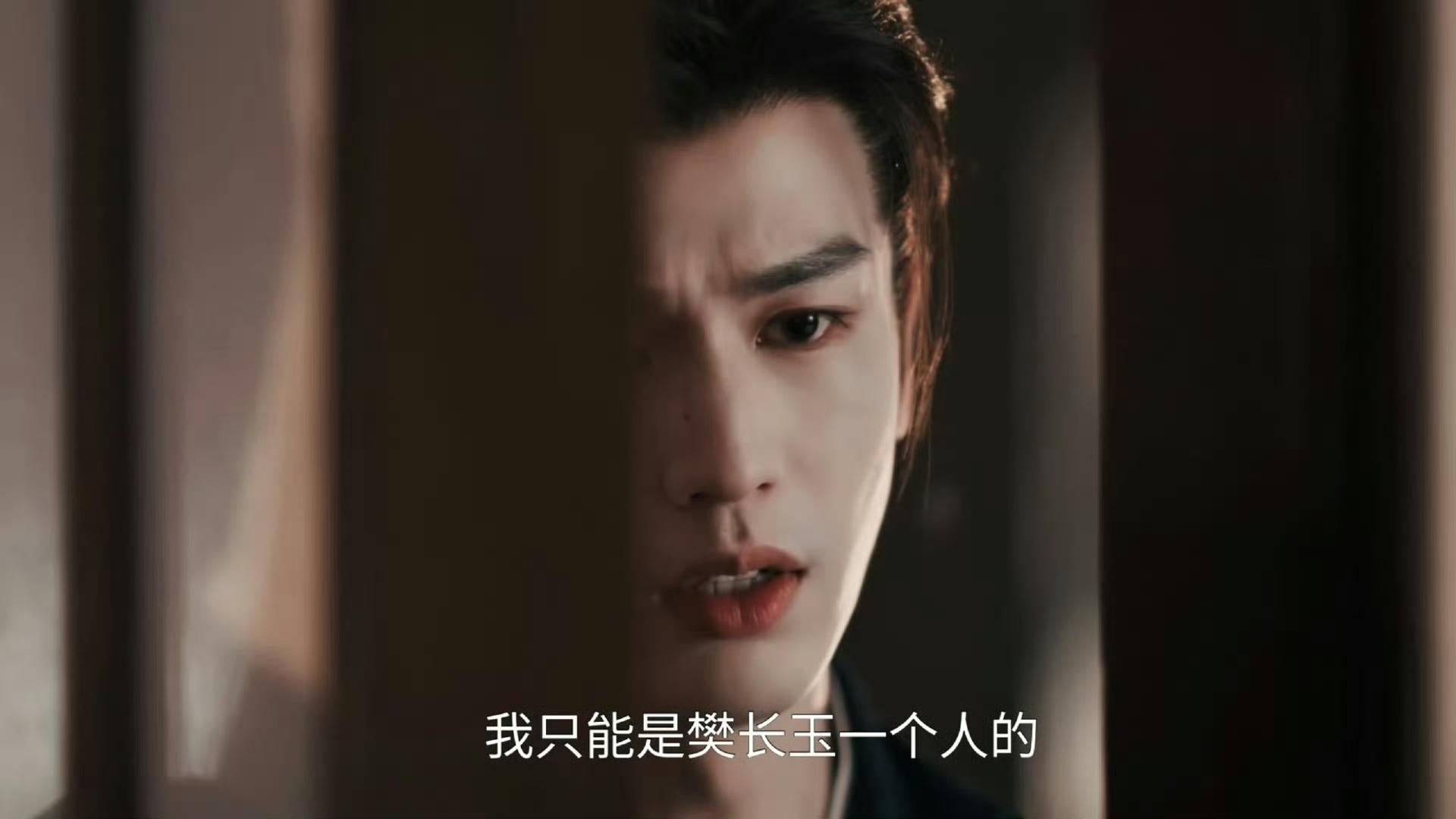 我只能是樊长玉一个人的这世上任何人都可以成为驸马只有我谢征不会我已经入赘给你了我