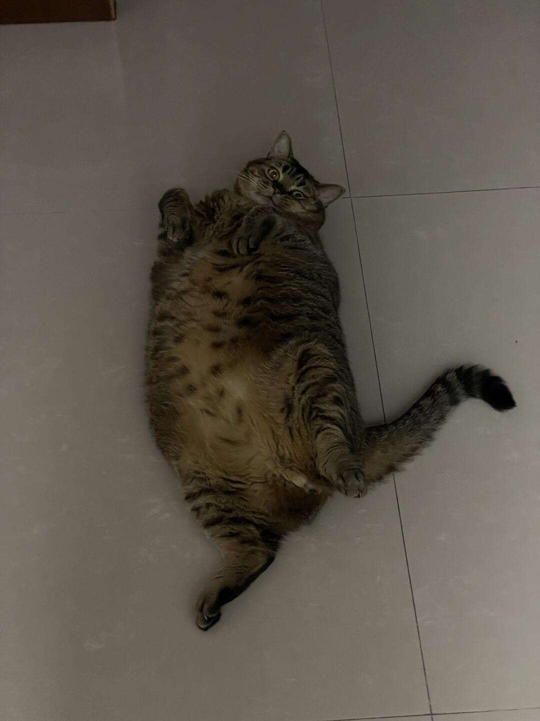 帮帮我