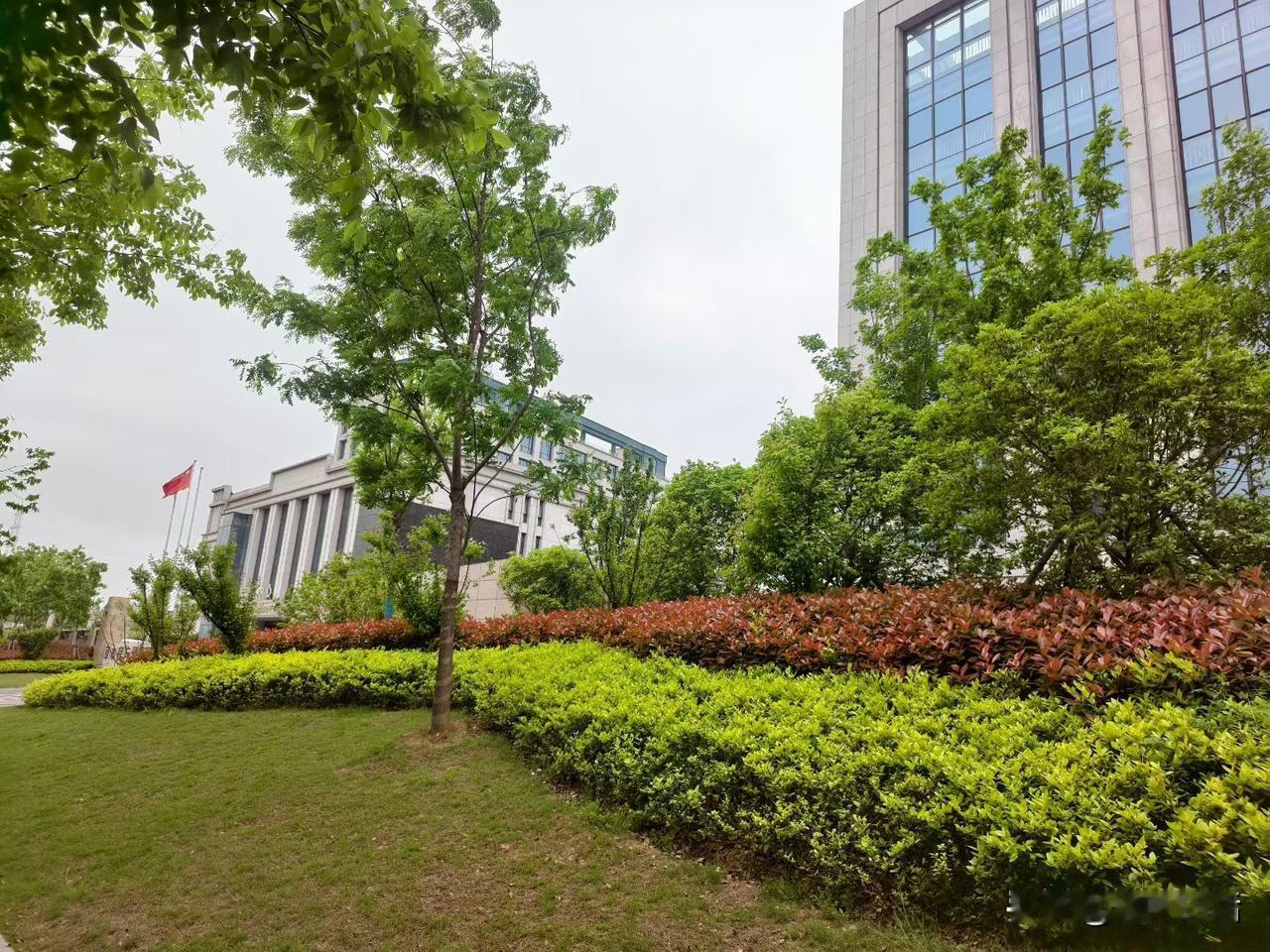 这几年经常刷到从城市回农村的博主，很多人羡慕，甚至想模仿。1、去哪里，这些都是相