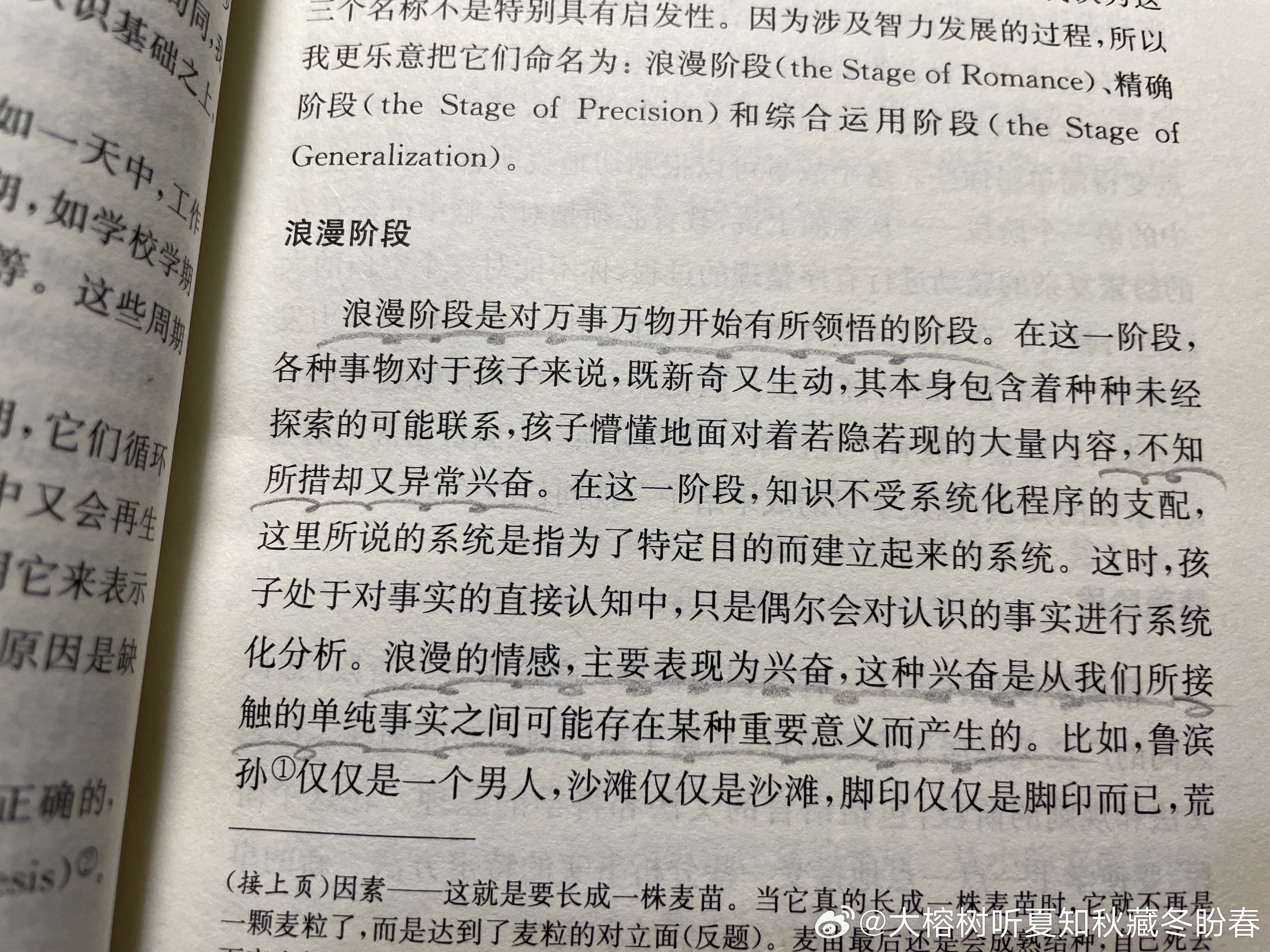“浪漫阶段是对万事万物开始有所领悟的阶段。”愿一直学习，一直领悟，一直浪漫。