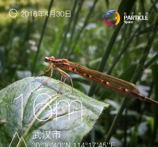 拍了一大堆照片，居然可以快速修图，告别一张张的粗笨处理

相册里躺着三百多张照片