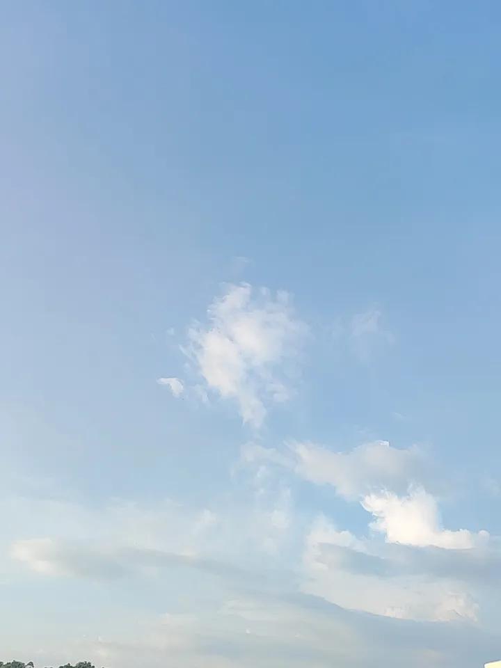 我有超美的风景壁纸可以分享！那壁纸里，层层浓绿把古朴石拱桥紧紧包裹。清晨阳光穿过