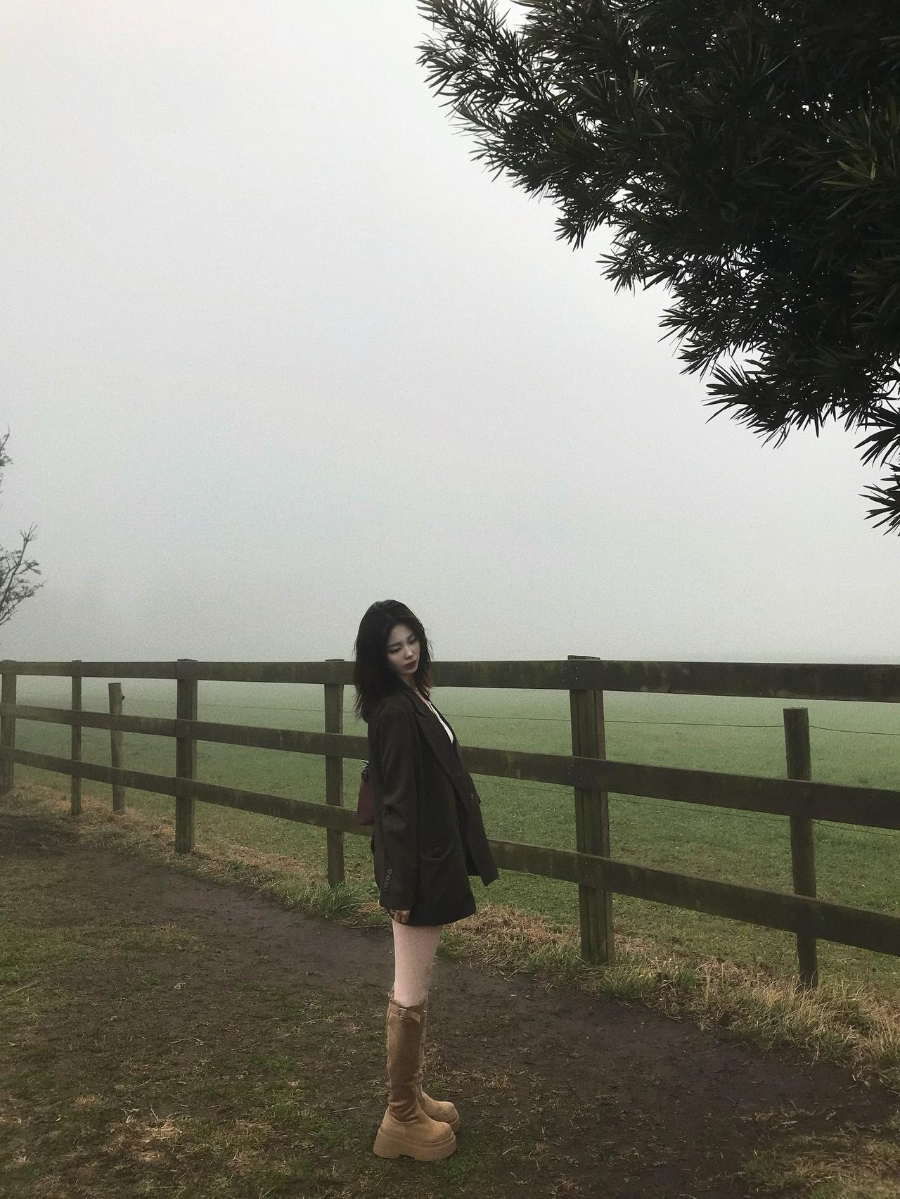 雾中漫步，感受大自然的宁静与美好。