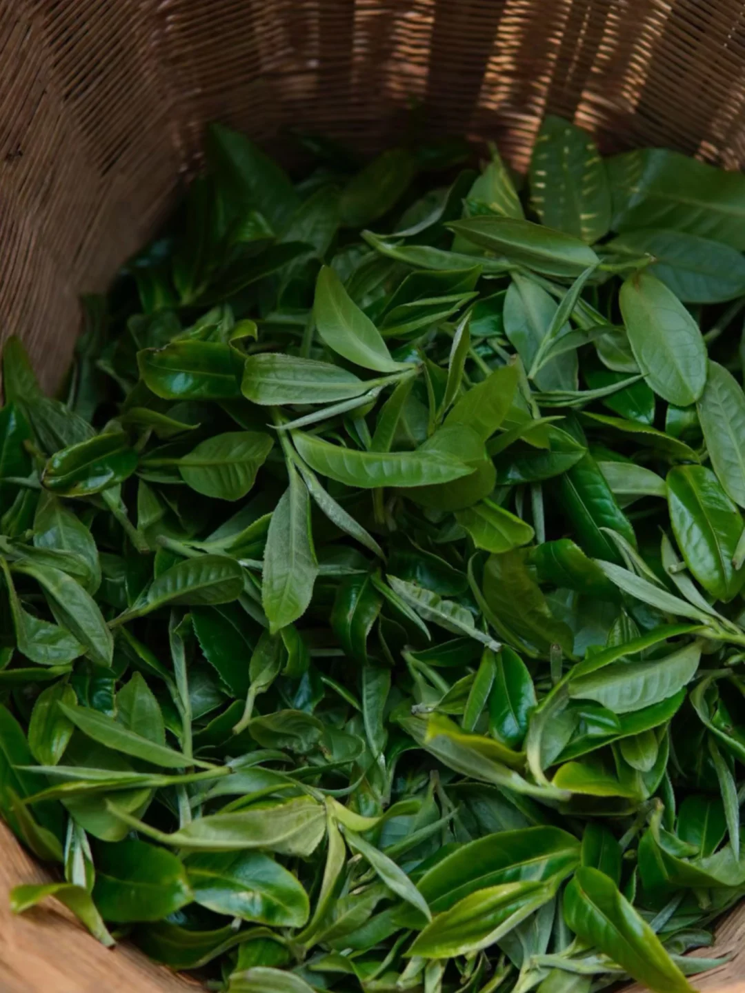 💐一切都是自己吸引来的 ，一切
