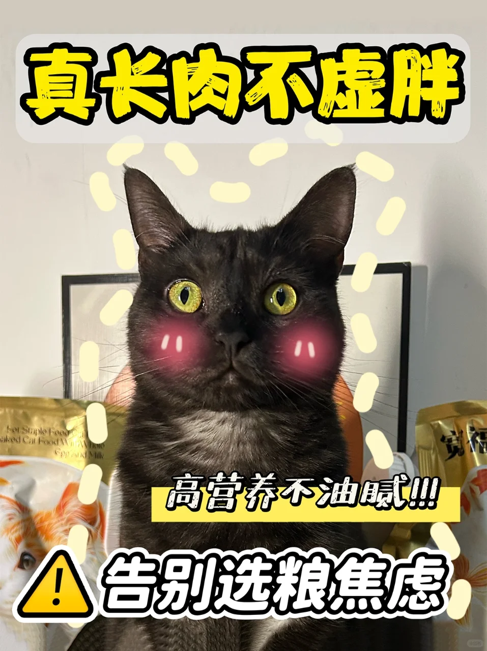 换粮攻略Get！ 爆改掉毛小猫成功上岸!