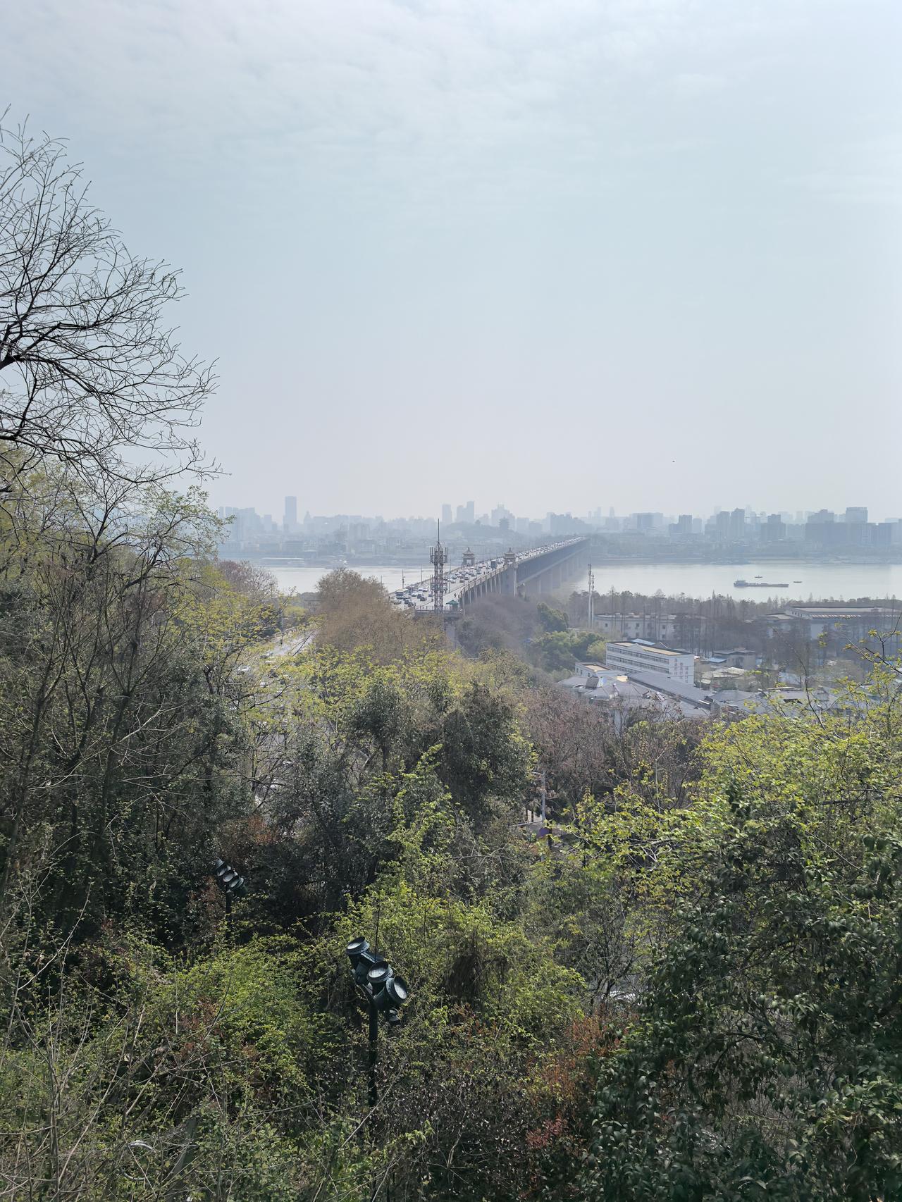 今天是持有东财的第309天，今天武汉天气晴朗，气候宜人，正是樱花盛开的季节。
