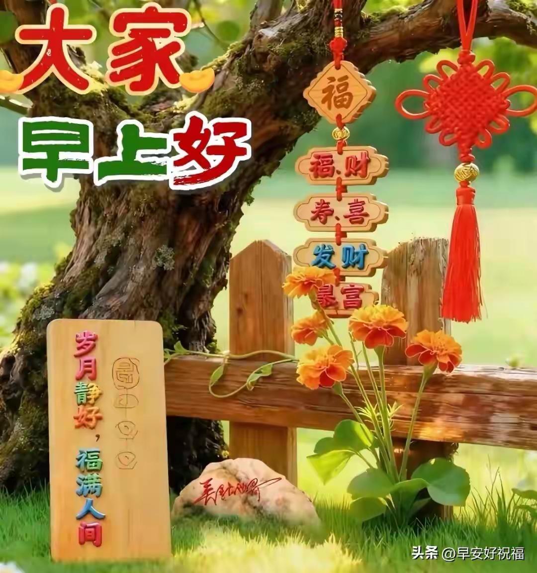 🌸早上好🌸
 2026.6，27星期六
微笑是日常标配，
平安是硬核底气，