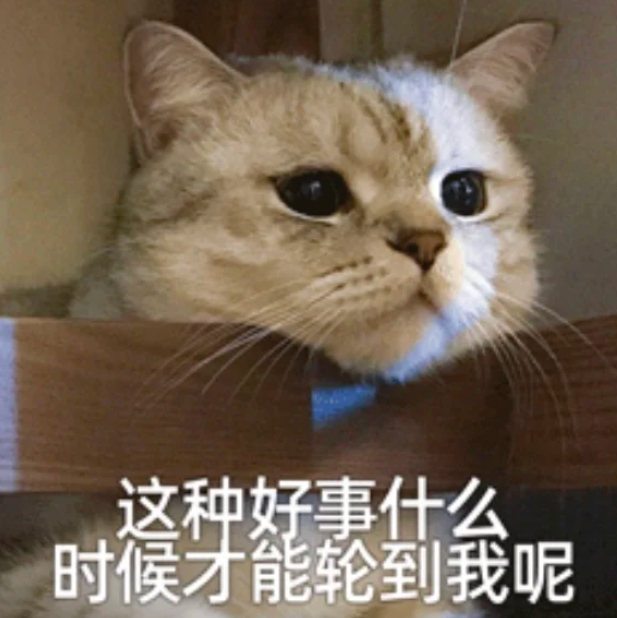 不论男女 到22岁就分一套房 这个是真羡慕了，分到的房子是完全属于自己了，还是只