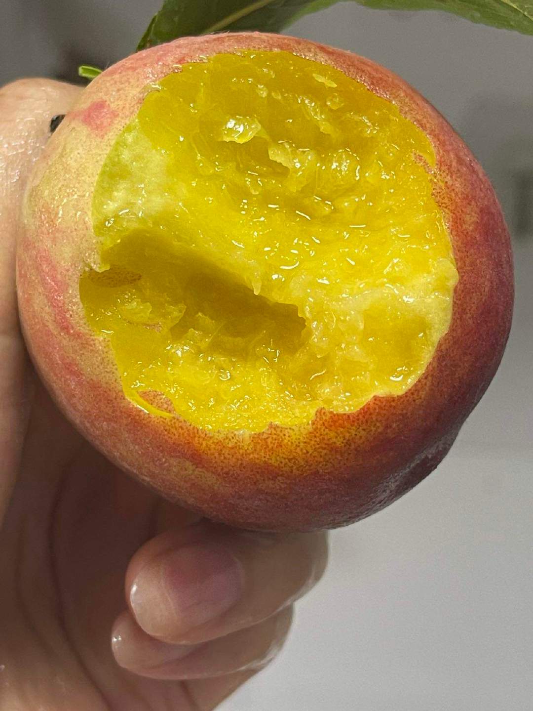 黄桃中的水蜜桃，湖北露天黄金蜜桃，当季爆款，好评高达99%，脆软两吃，让爱吃蜜桃