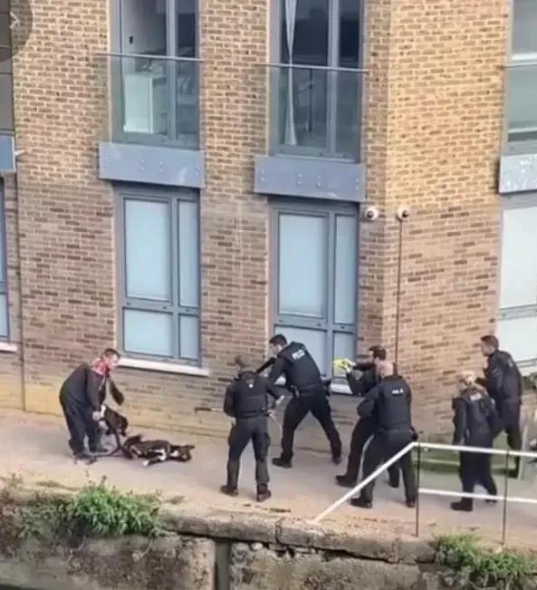 英国伦敦，一女子被狗咬伤，报警后，警察来了要求狗主人交出狗狗，狗主人拒绝，警察开