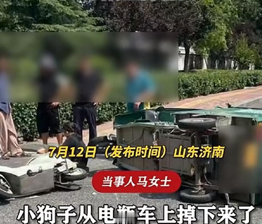 近日，山东济南。马女士骑电动车外出。她的6个月大的狗狗可爱又机智，它也跳上了电动