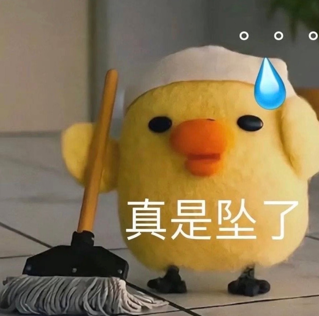 每到周末睡到自然醒，然后吃个饭，就开始打扫卫生今天还打了会游戏！感觉时间过得好快