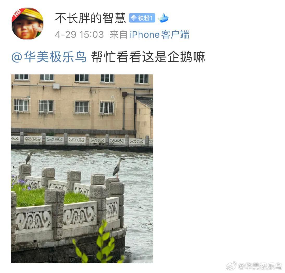 送分题环节～自信地说出它滴名字 ​​​