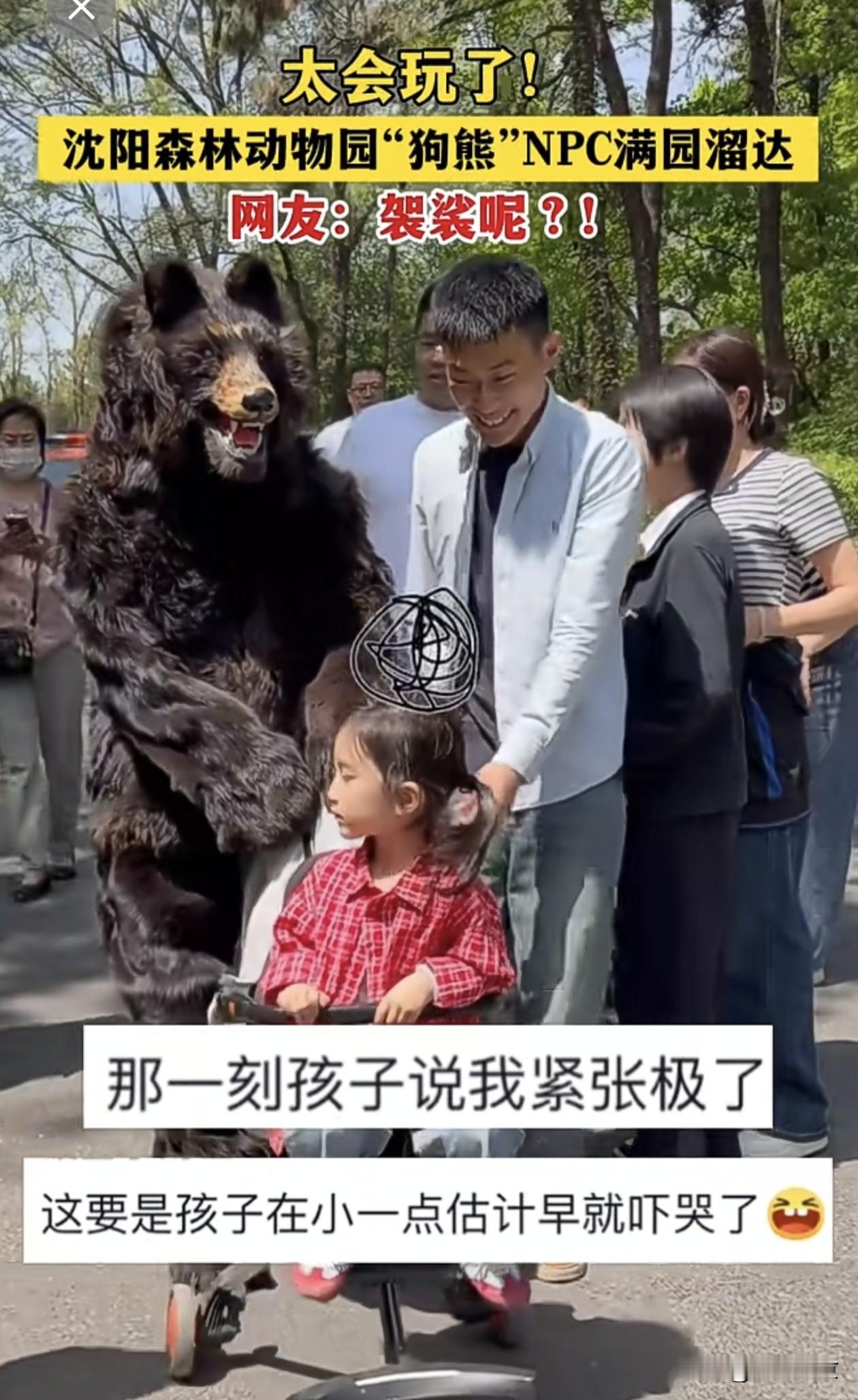 沈阳森林动物园“成精棕熊”火了！月薪过万的NPC，背后是文旅创新的巧思！
 
最