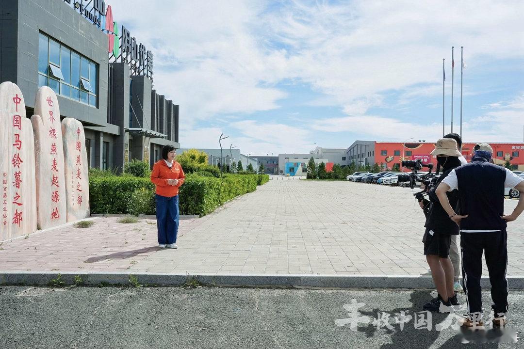 阴山下，裸燕麦即将迎来丰收。这里是世界裸燕麦的黄金产区，文字记载可追溯至战国至秦