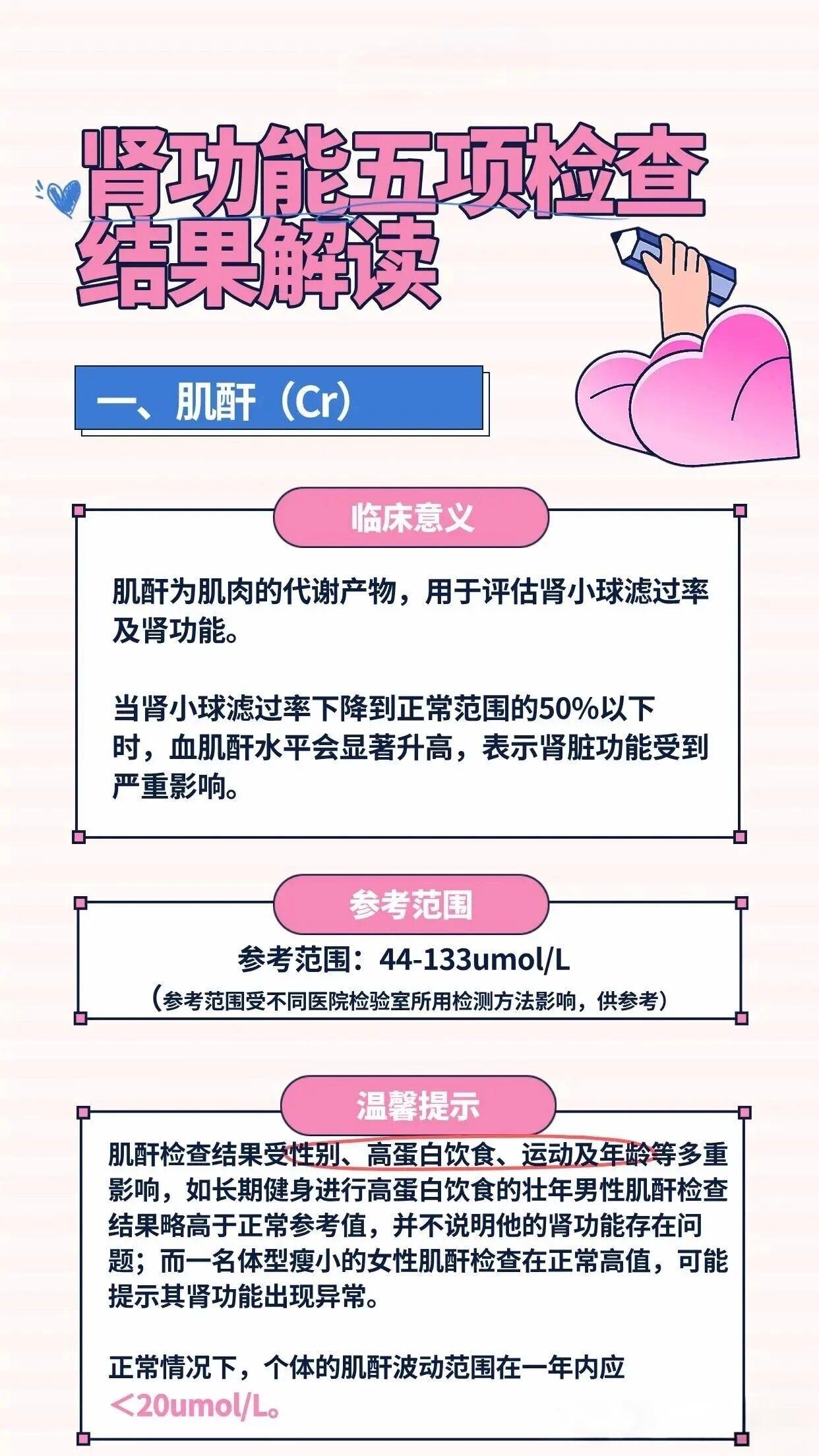 肾功能检查，检查的都是什么？如何判断指标是否正常？