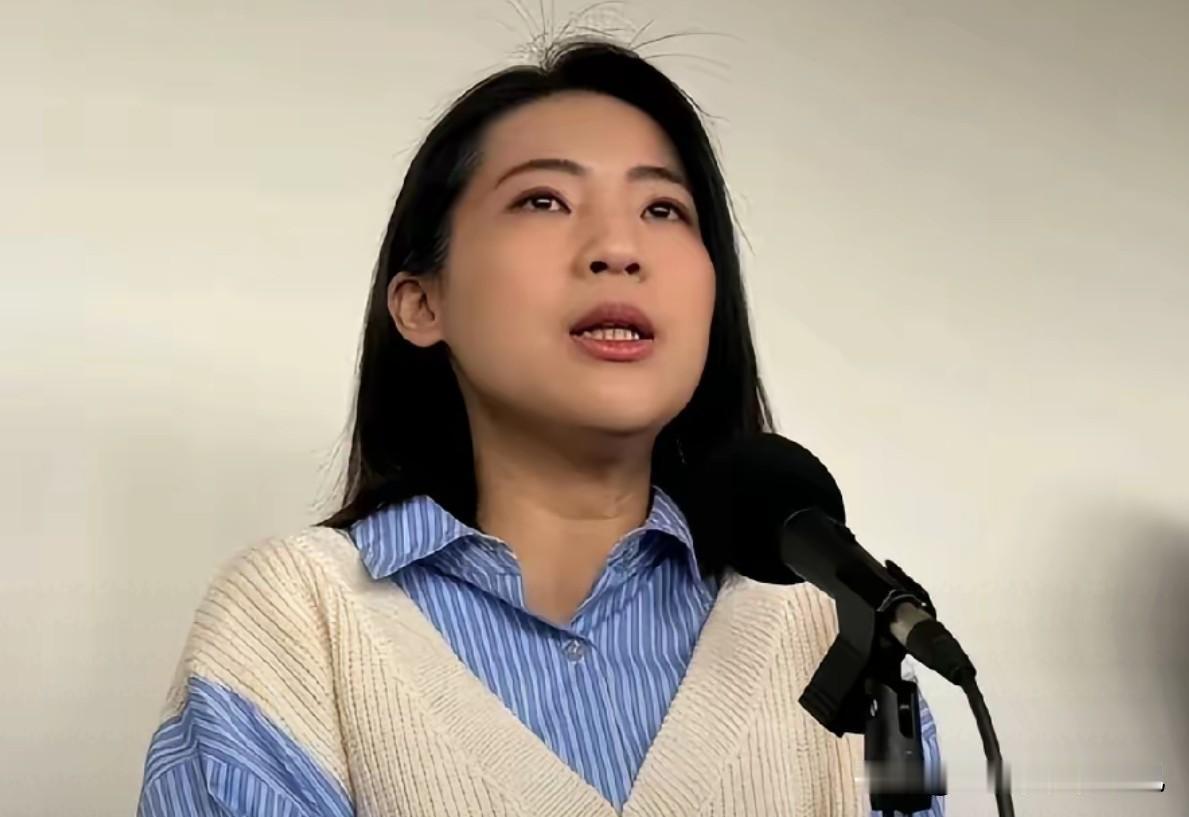 徐巧芯把《中华人民共和国民族团结进步促进法》所倡导的中华民族团结、鼓励民间交融，