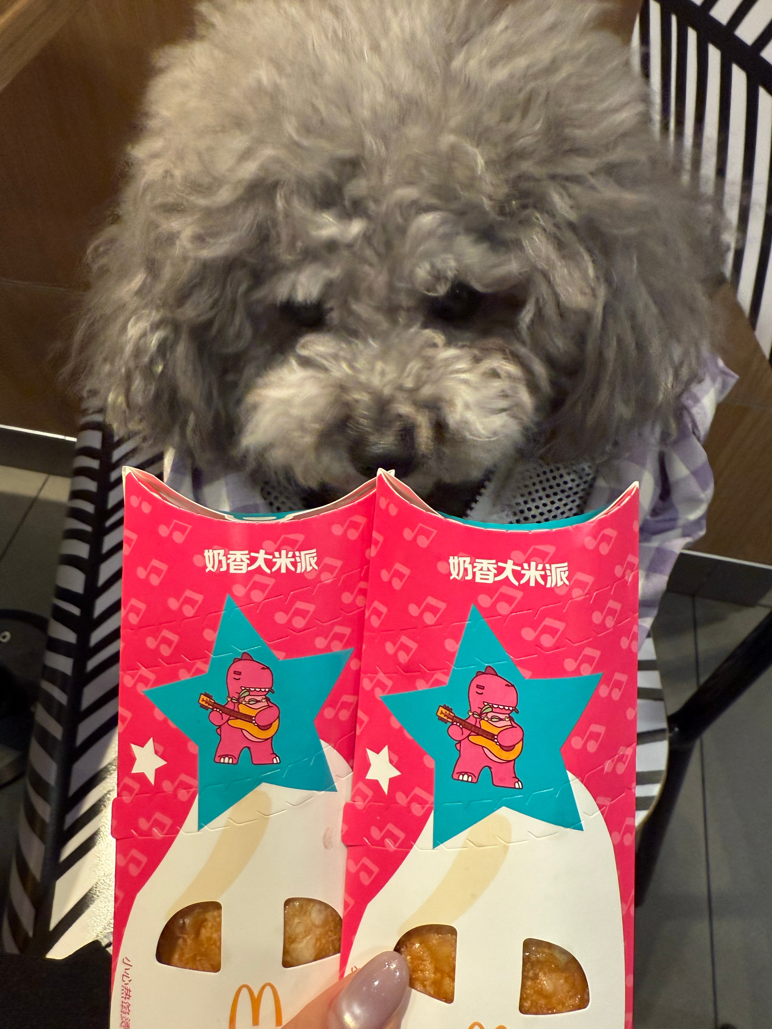 馋狗来了 ​​​