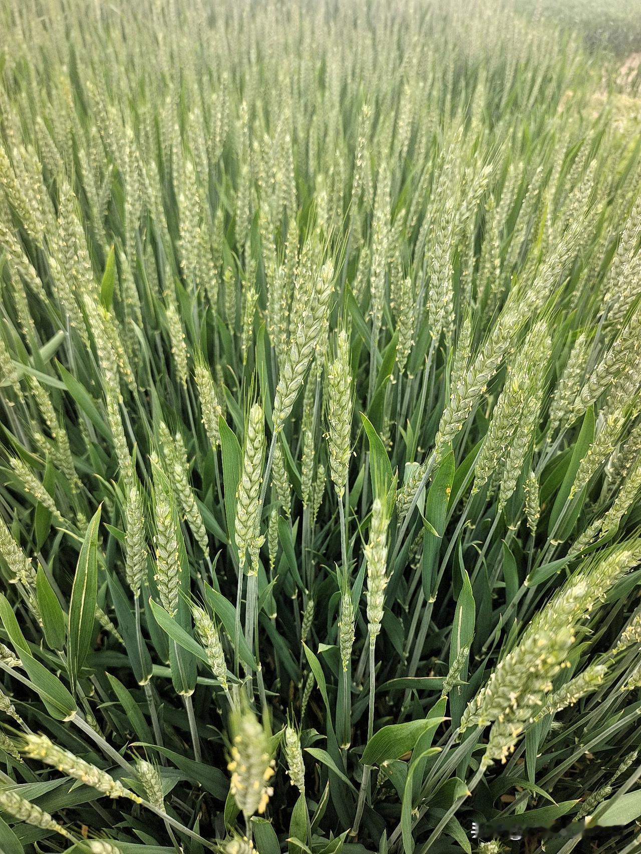 纯属扯淡的问题，如果只剩下钱，意思是说有很多钱吗？如果有很多钱，其他自然全都有了