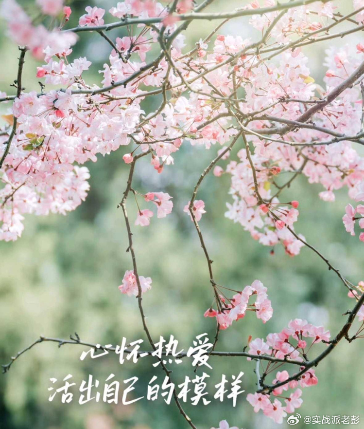 $上证指数(SH000001)$ 今天是三八妇女节，祝所有的女神股友们节日快乐，