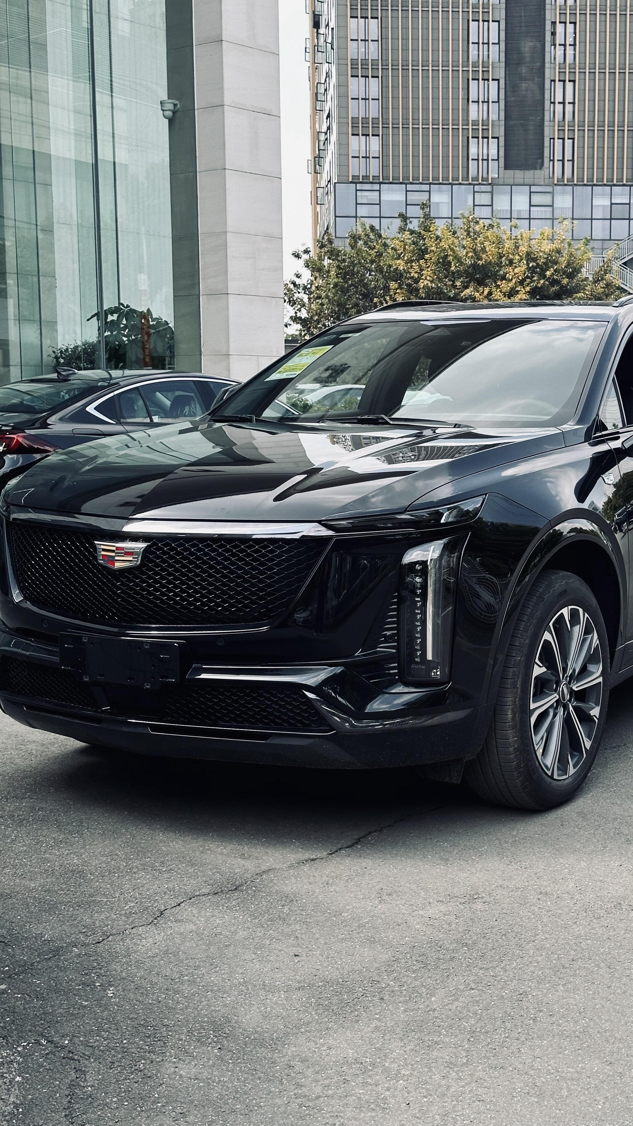 无人扶我青云志  我自踏雪至山巅