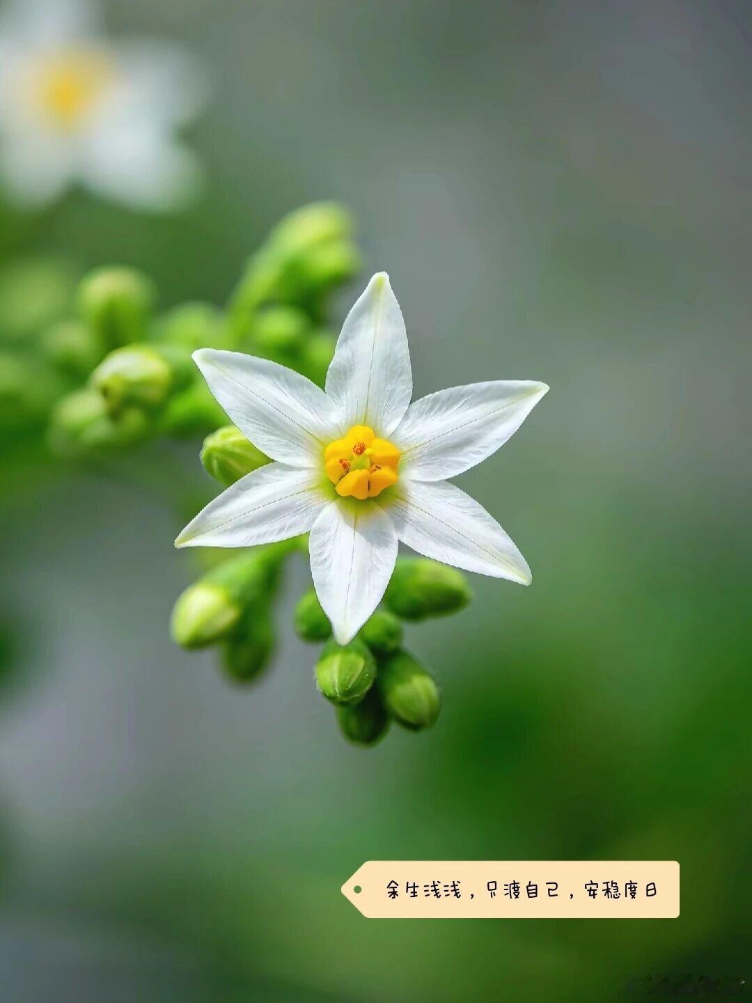 终有一天，你会明白《皮囊》里一句话：“真正给你撑腰的，是丰富的知识储备，足够的经