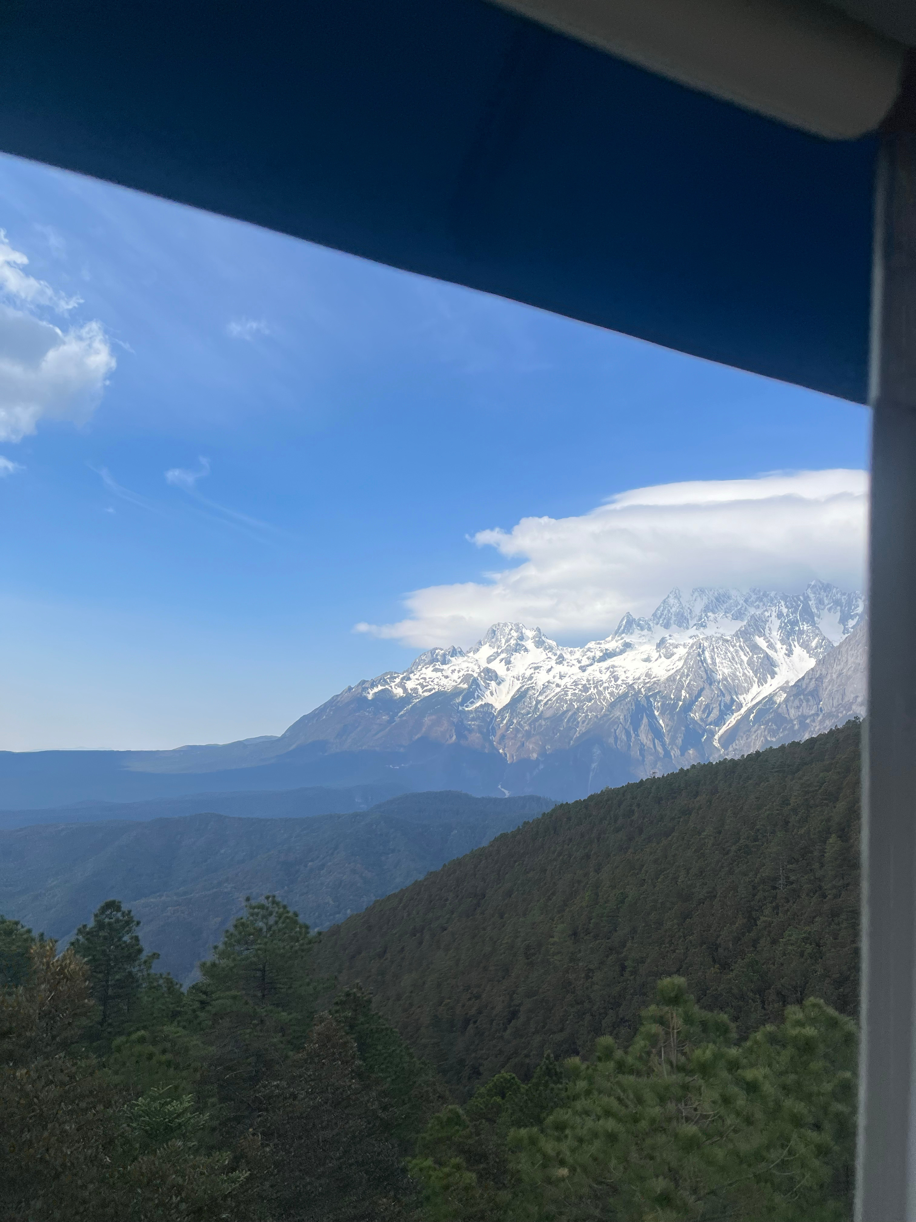 #我是女生##大理寺少卿游全员吸猫#  我的自由凛风向上.  ​​​