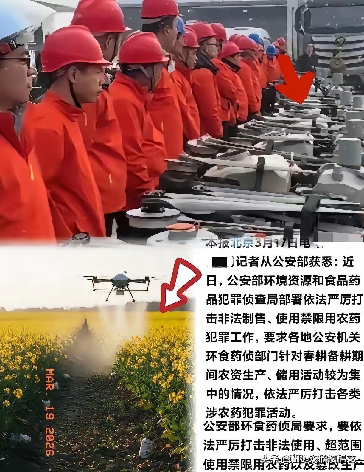 严查乱喷农药害蜂行为！专挑油菜花季下手，实在太缺德
 
这次严查真是大快人心！有