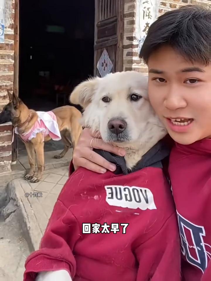 之前我很喜欢老黑舔我的，但自从我知道他在外面吃过屎之后，我就有点嫌弃。但是又看他