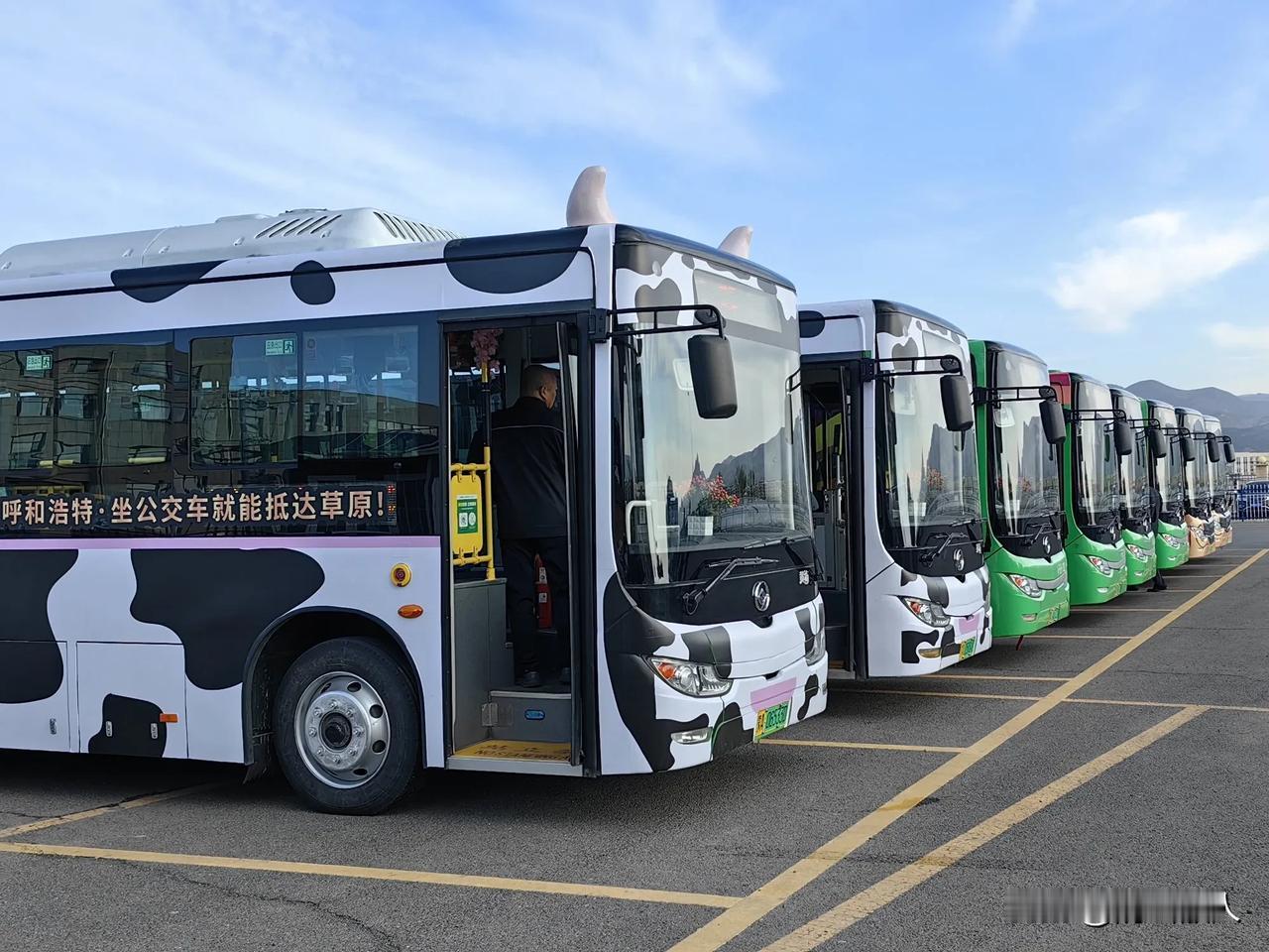 太方便了，很给力

从今天开始，来自呼和浩特的市民和外来游客，都可以方便快捷地搭