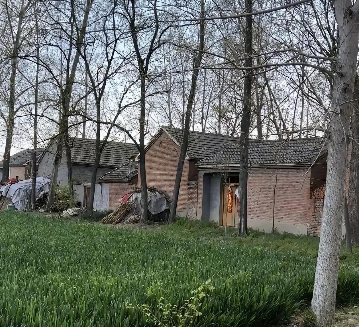 皖北豫东，苏北鲁南的老乡们看到这个建筑真的非常眼熟吗？这个建筑就是我们老家独有的