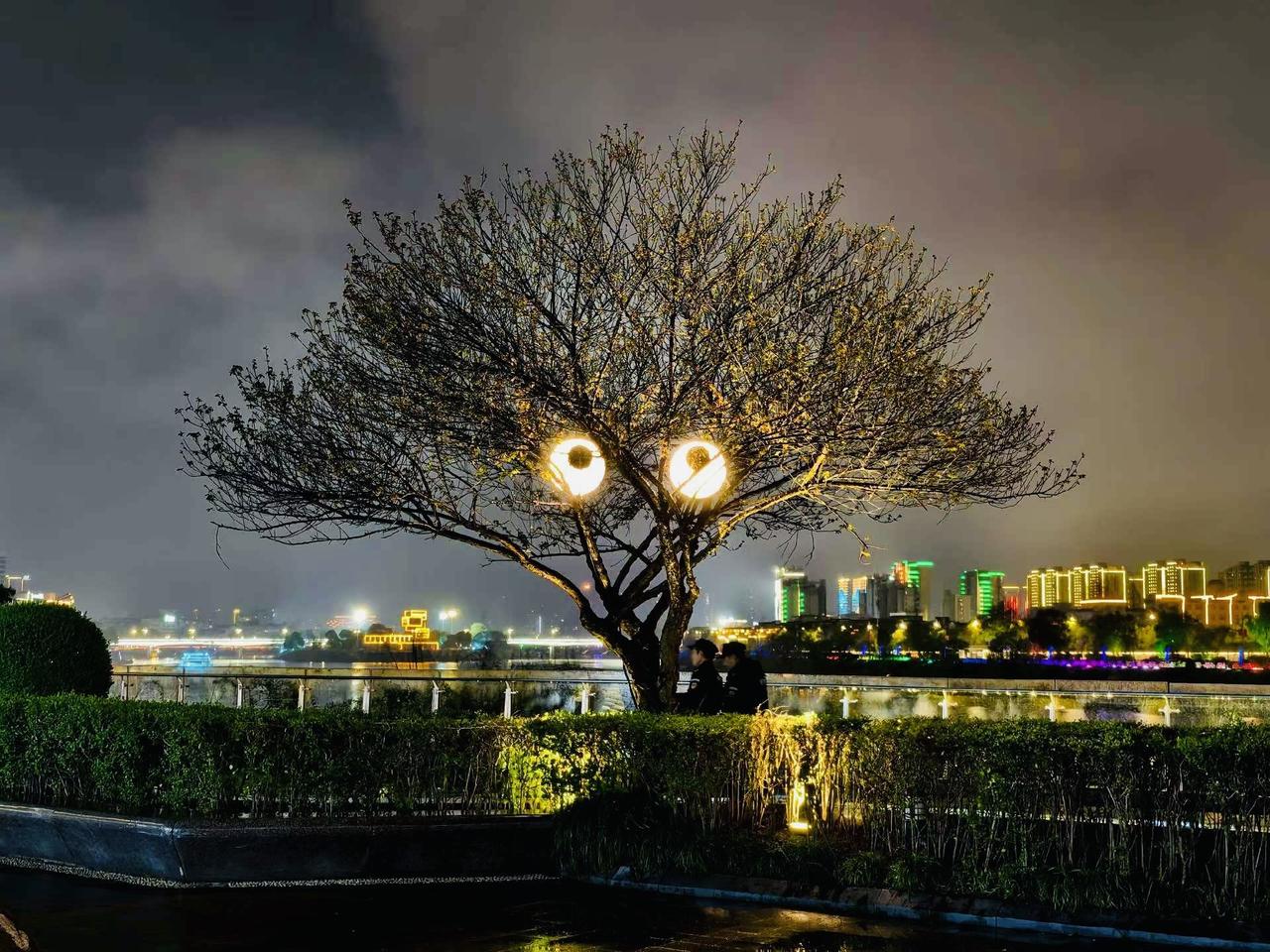 树以灯为眼，夜以江为镜！
黄山 让我心动了！[比心][星星眼]