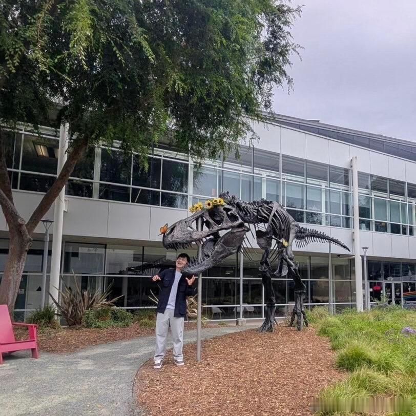 樊振东世界第一可爱 