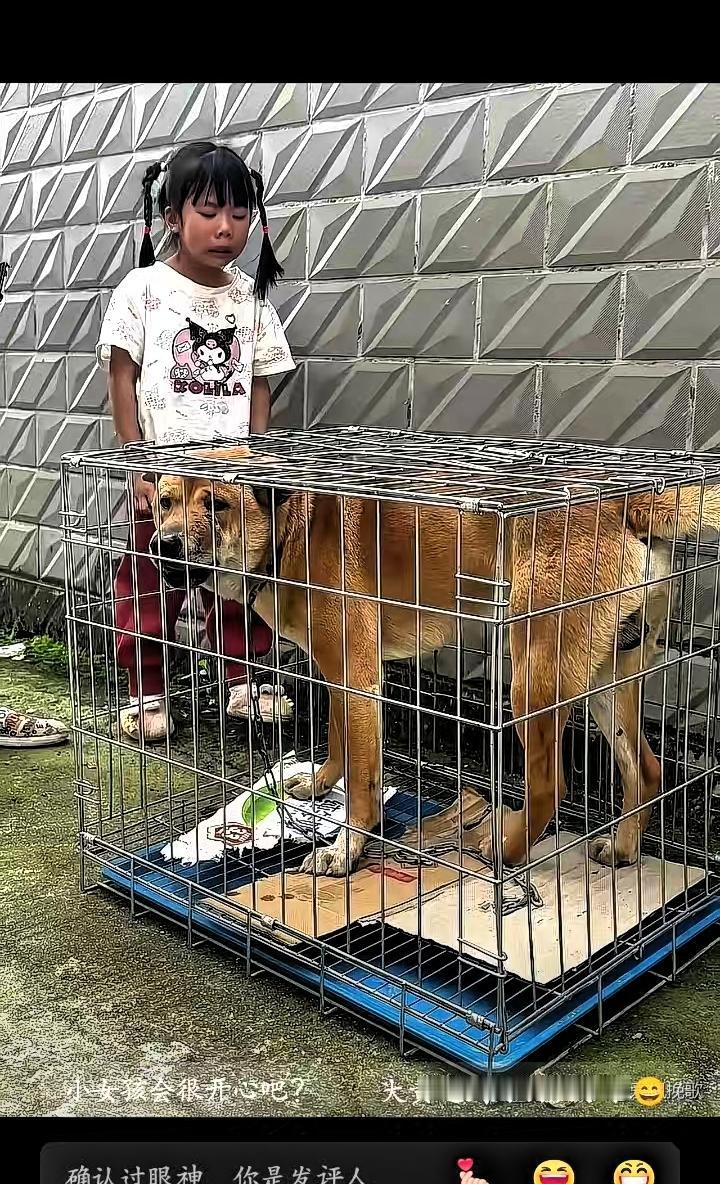 广西桂林，老奶奶1500元卖掉了跟随多年的大黄狗，正当狗贩子把大黄关在笼子里准备