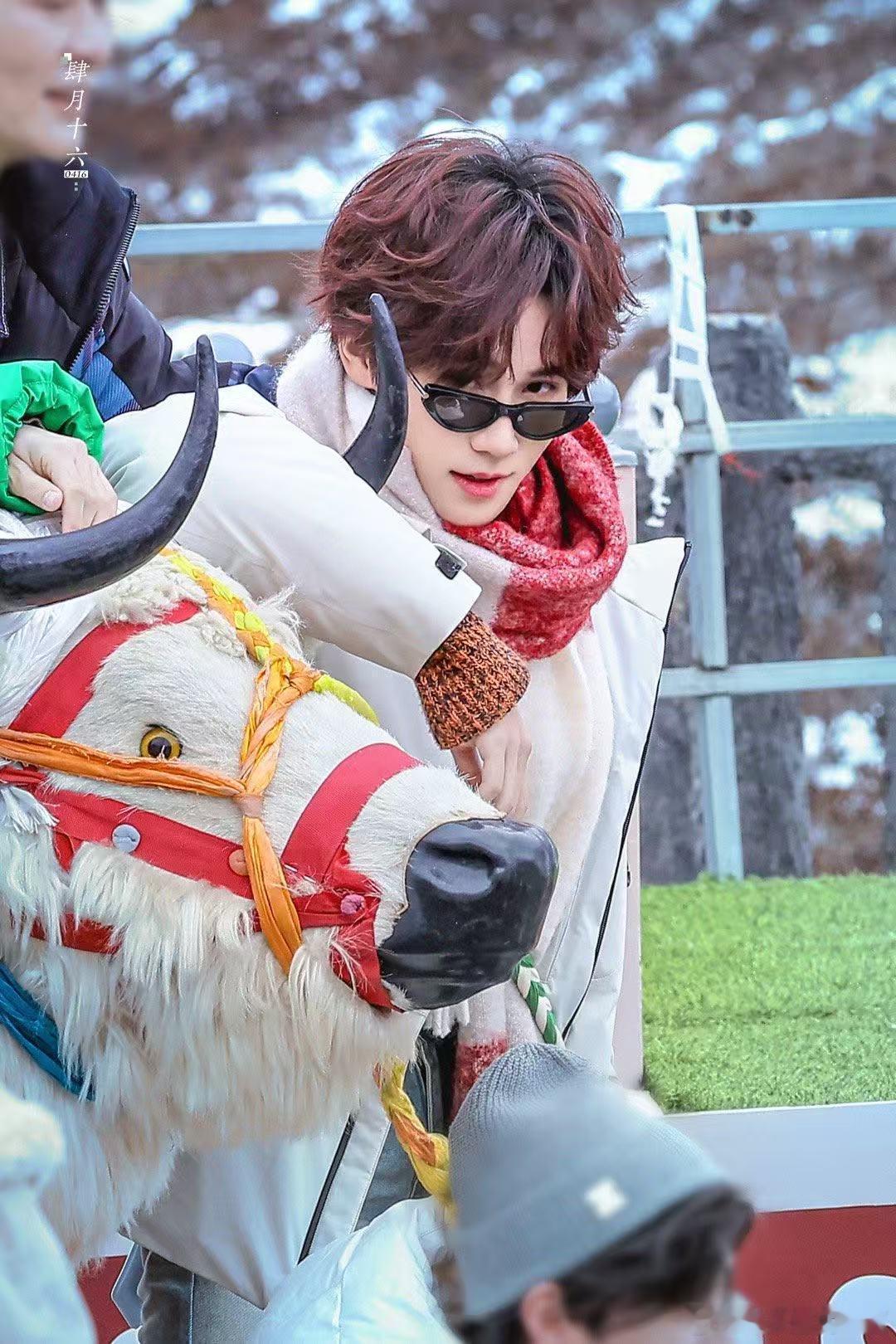 张真源骑牦牛路透 张真源骑牦牛，真的是让人忍不住笑出声，这种萌萌的骑行方式，完全