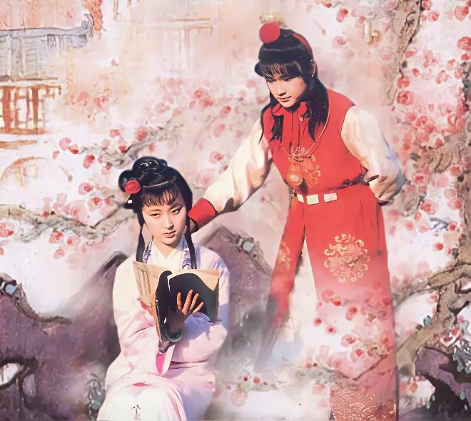 上联：镜花水月红楼梦
下联：金玉良缘一场空
