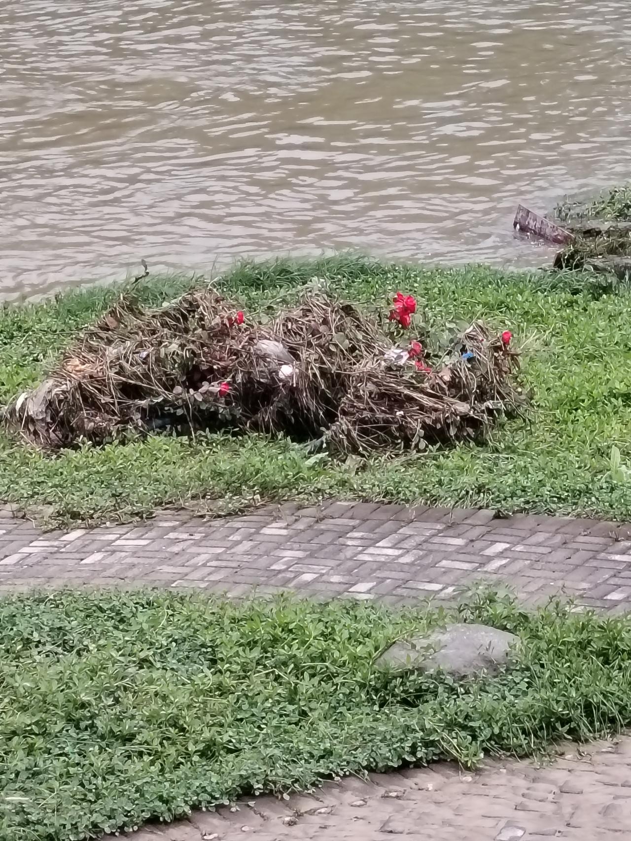 今日凌晨4点前后，十堰迎来一场暴雨。狂风怒吼，电闪雷鸣，大雨如注，河水随之迅猛上