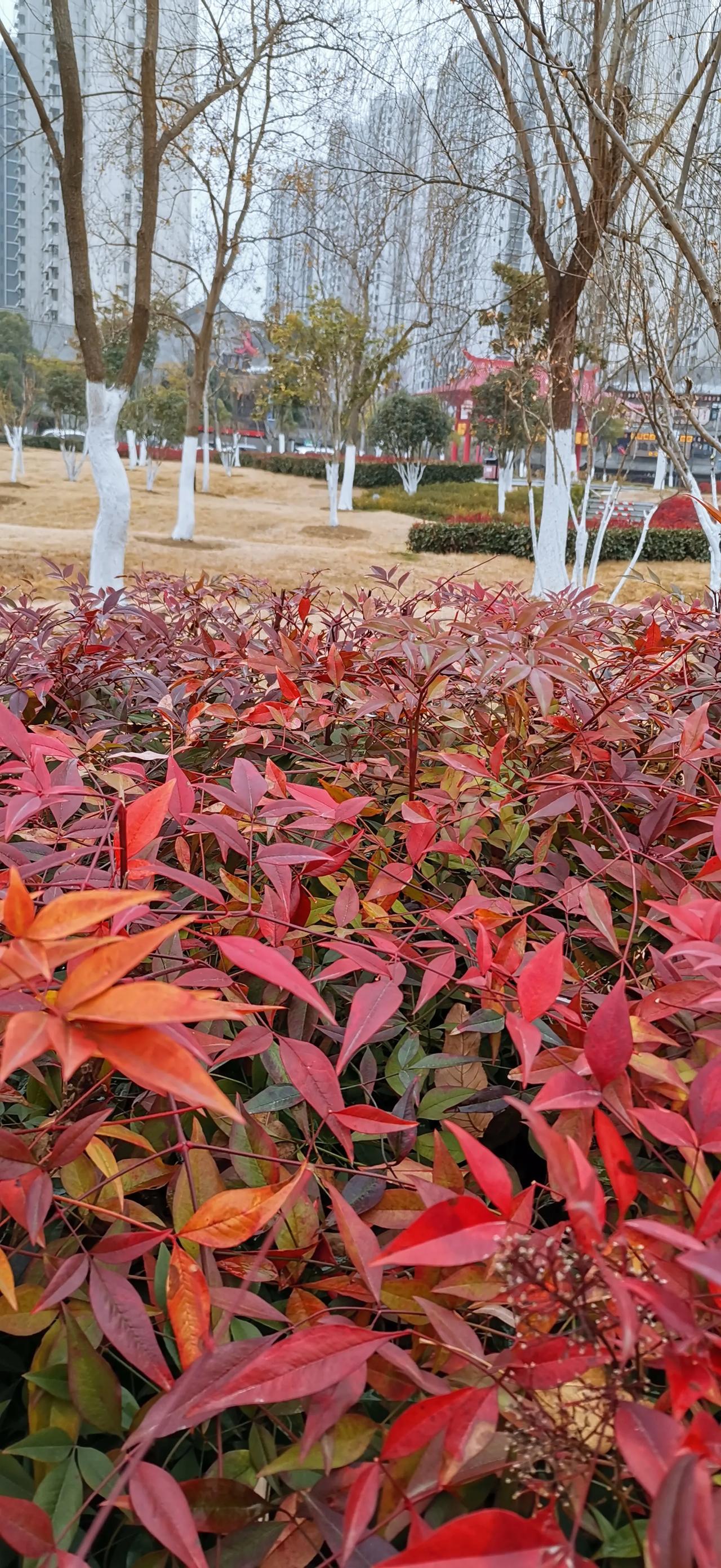 随手拍，记录美好瞬间