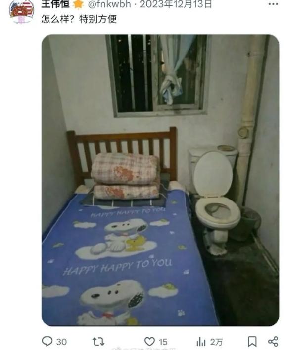 电子宠物王伟恒住上了大别墅，床头是马桶，闻着翔睡觉