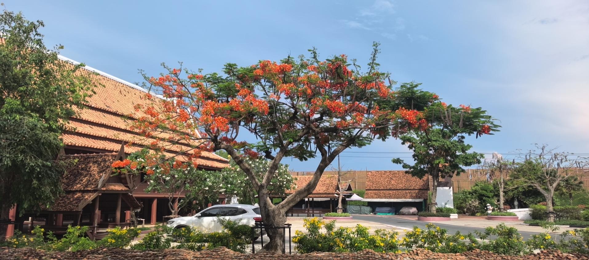 浊酒一杯家万里，燕然未勒归无计！