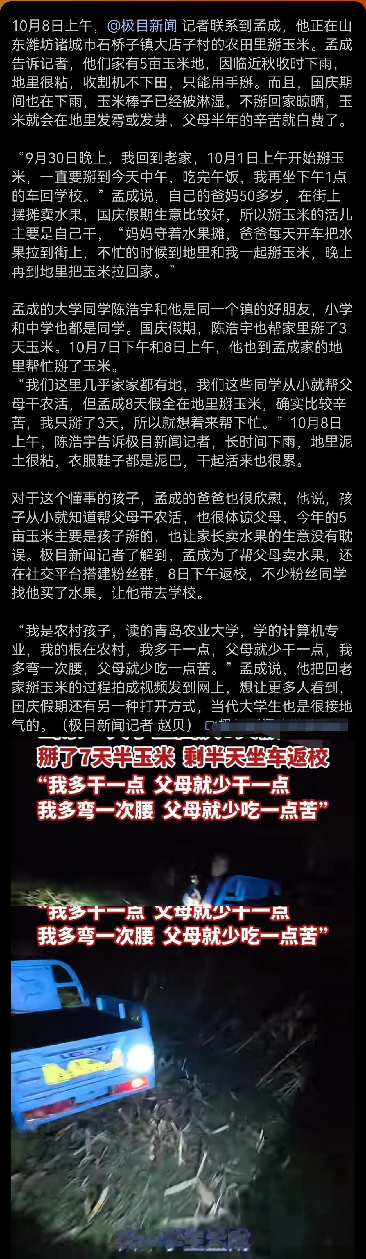 山东一大学生国庆8天假掰了7天半玉米，本人称“自己多弯一次腰父母就少吃一点苦”！
